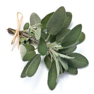 Sage - Organic Herb 250 Gms