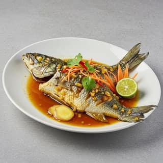 Gincer Fish
