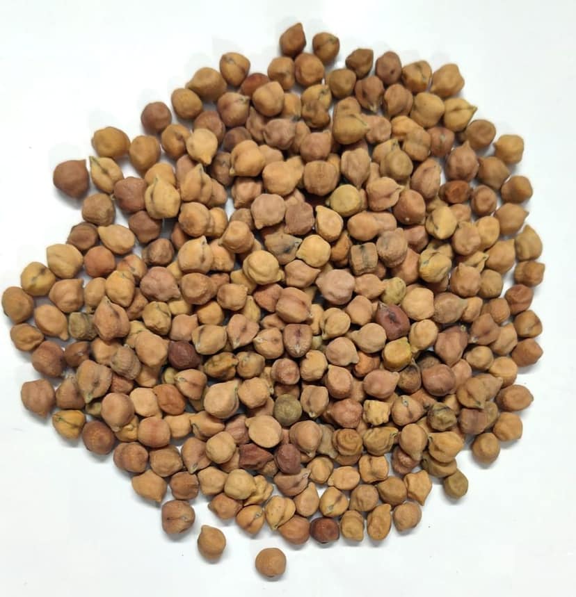 Chana view 3