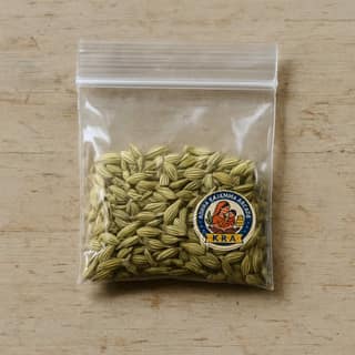 Korra Rajamma Arcade's saunf (fennel seeds)