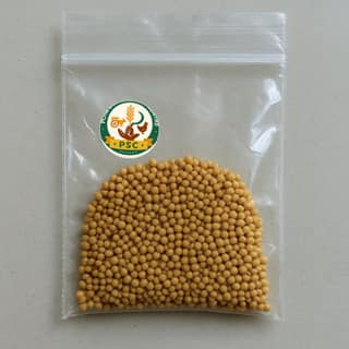 Poya Sanyasamma Centre's mustard seeds