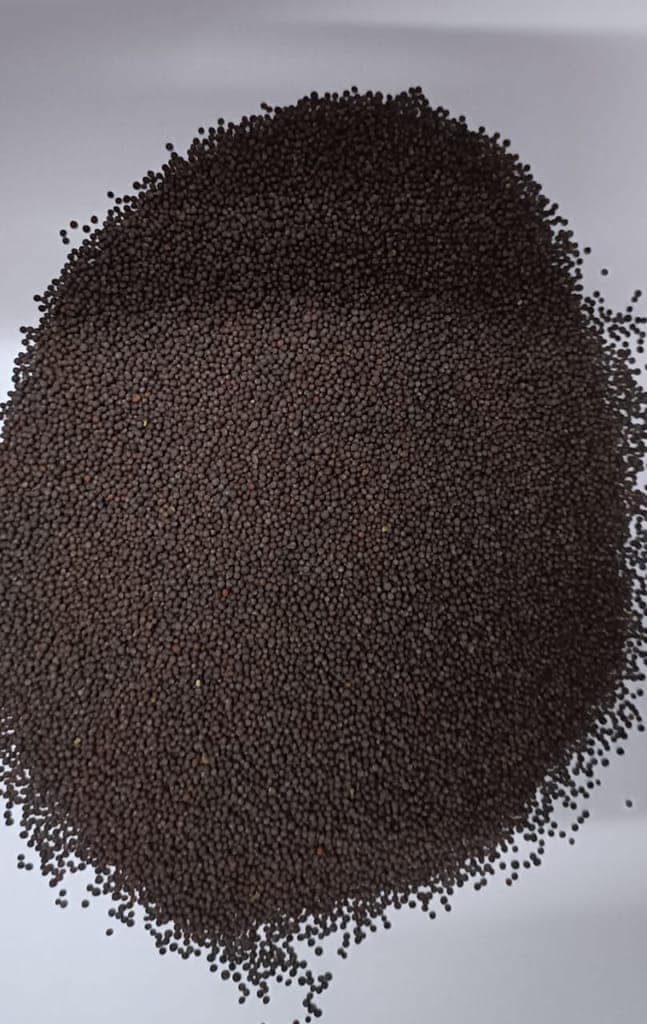 Black Mustard Seed/ Raai (1 kg) view 3