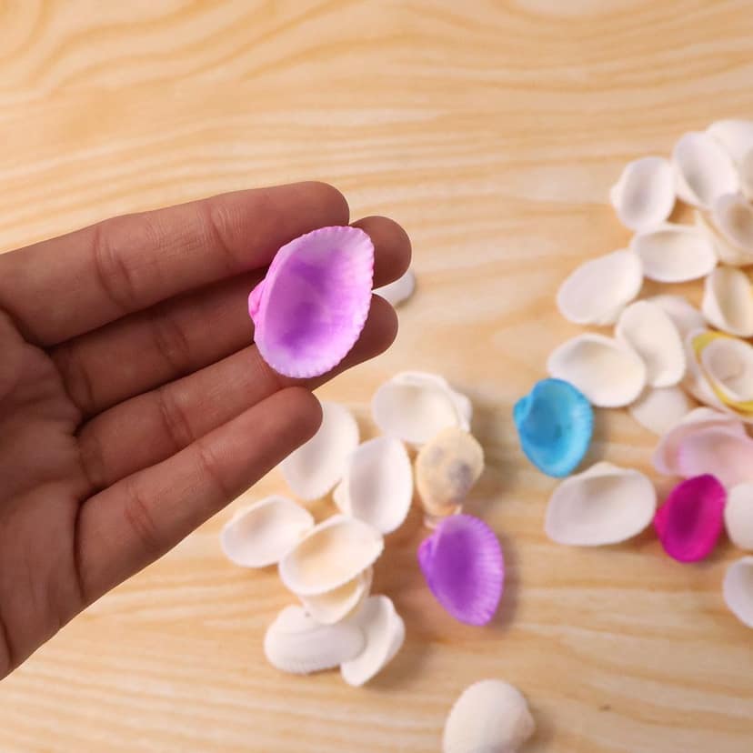 Decorative Seashells Set – Natural Vase Fillers for Home Decor view 2