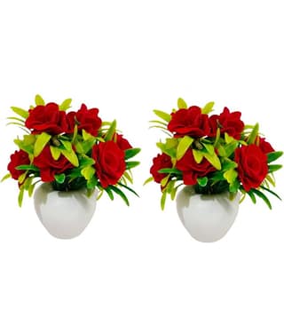 Green plant indoor Rose Multicolour Flowers With Pot - Pack of 1