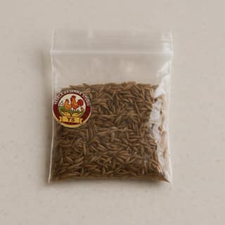 Yedela.Rajamma Studio's cumin seeds