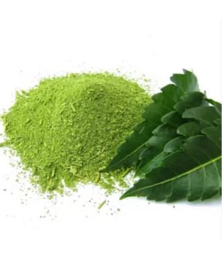 MYGODGIFT Neem Patta Powder - Azadirachta Indica - Neem Leaves 100 gm