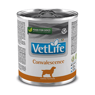 Vetlife Convalescence 300 Gms