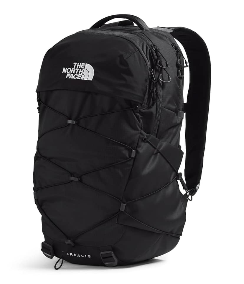 THE NORTH FACE Borealis Laptop Backpack view 2