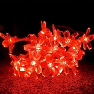 GLOWSERIE Glowing Red Flower Fairy Lights – Warm Ambient Decoration
