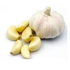 GARLIC view 3