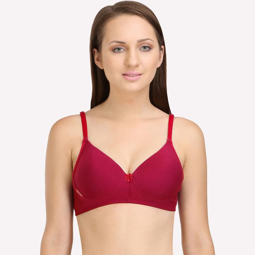 Bodycare Cotton Spandex Padded Non wired Tshirt Bra-Pack of 3 view 2