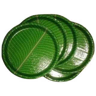 100% Natural Areca Leaf Plates | Disposable and Biodegradable | 8 Inches | Pack of 25