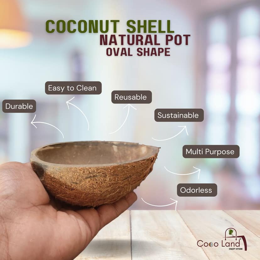 Coco Land Coconut Shell Natural Oval Pot (LARGE SIZE Pack of 30) 250 ml Decorative Pots/Showpieces/Candle Making Bowl /Handicraft/Agro Craft view 2