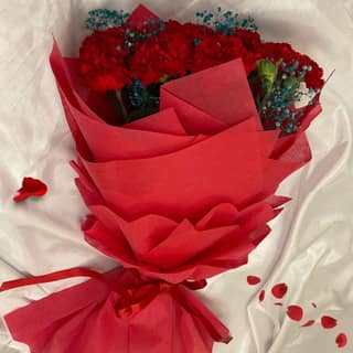 The Blooming Story Rediness Red Carnation Blue Gypsophila Hand-Tied Bouquet