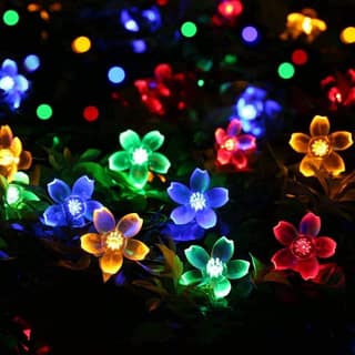 GLOWSERIE Multicolor LED Flower Fairy Lights – Decorative Floral String Lights for Home & Garden