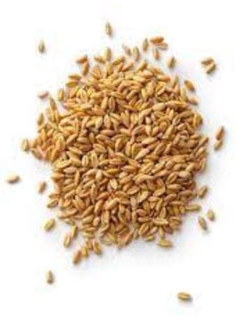 Wheat/Gehu view 2