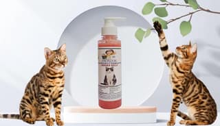 SWACCH Premium Shampoo for Indian Billi (200ML) Strawberry