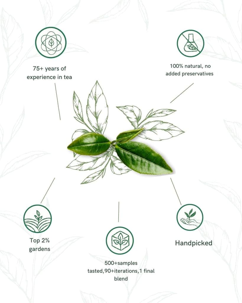 1950 Origins Combo Pack-Royal Assam&Regal Harmony|100% Natural Loose Leaf Tea|Assorted Black Tea Gift Pack – Premium Assam & Long Leaf Darjeeling Tea|Rich,Strong & Fresh|Tin Caddy,150 gm x2 view 2