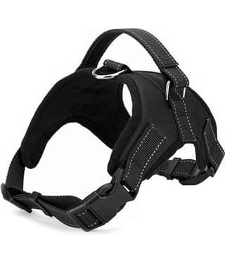 Petshop7 Blue Harness ( Large )