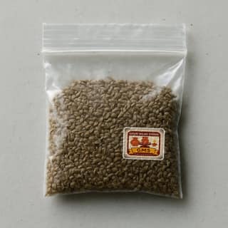 Gouri Majhi Studio's ajwain seeds