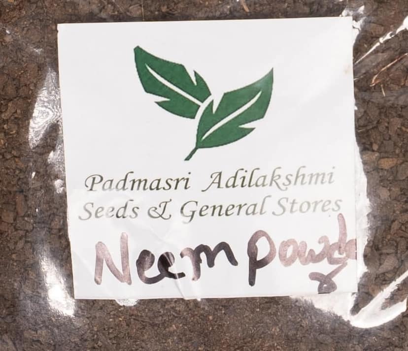 Neem leaves powder view 2