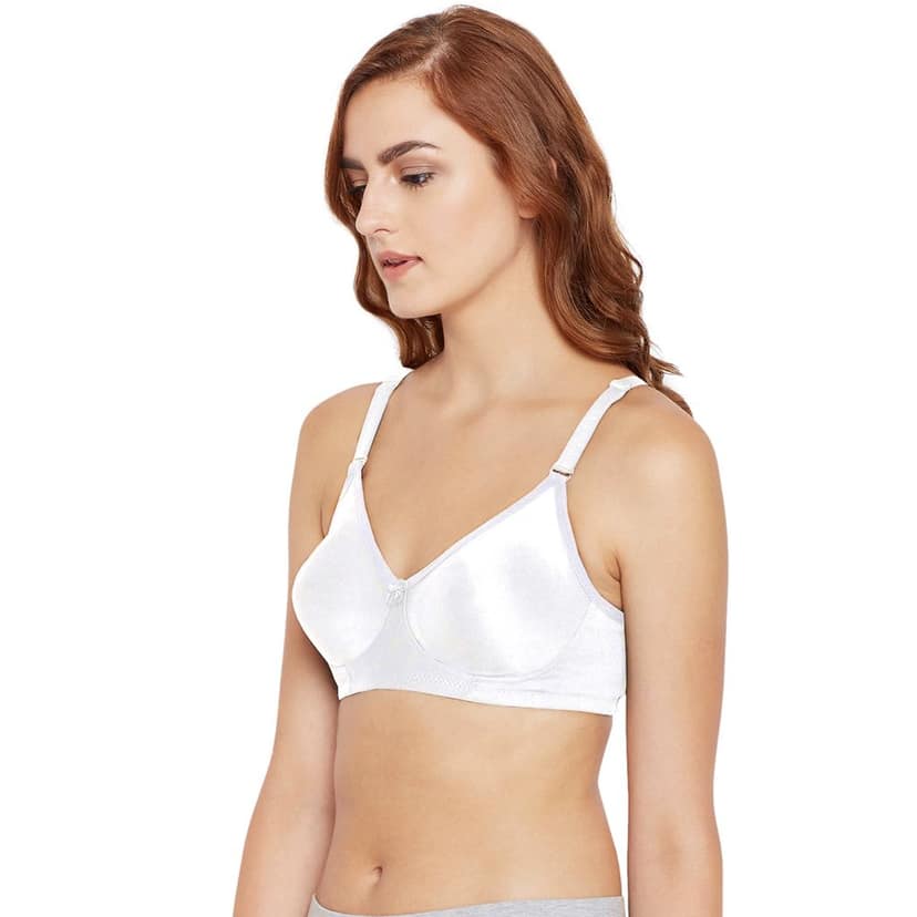 Bodycare Polycotton Non Padded Non wired Seamless cup bra-Pack of 3 view 3