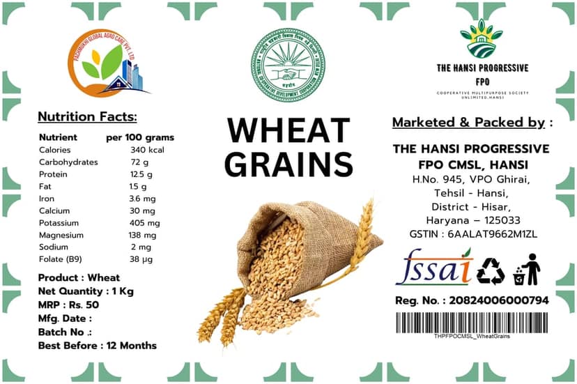 Wheat Grains view 2