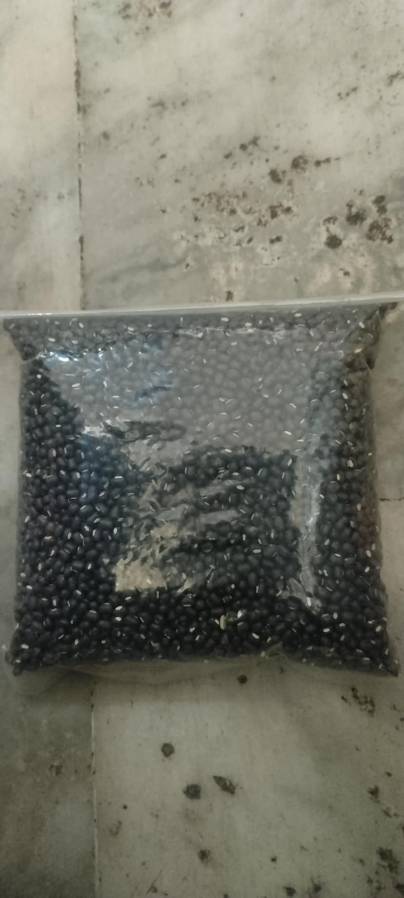 Urad sabut loose 500 gm