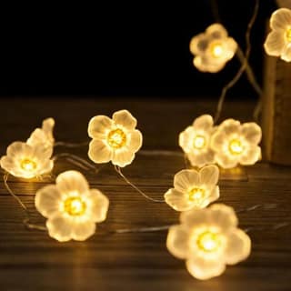 GLOWSERIE Warm White LED Floral Fairy String Lights