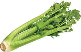 Celery 100 gms