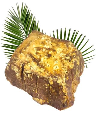 Nutrixia Food First Grade Natural Palm Jaggery Tad Gul Tad Gudh 480 gm