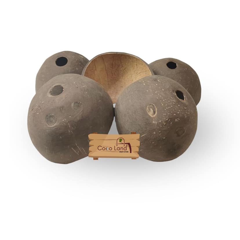 Coco Land Holed Coconut Shell Finished Raw Craft | Decorative Pots,Craft Making | Handicraft,Agricraft