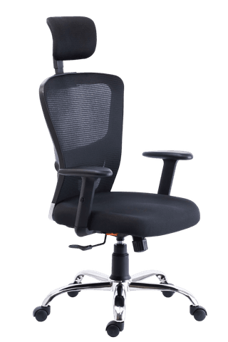 Kantva Ergonomic High Back Mesh Office Chair with Headrest and Adjustable Height