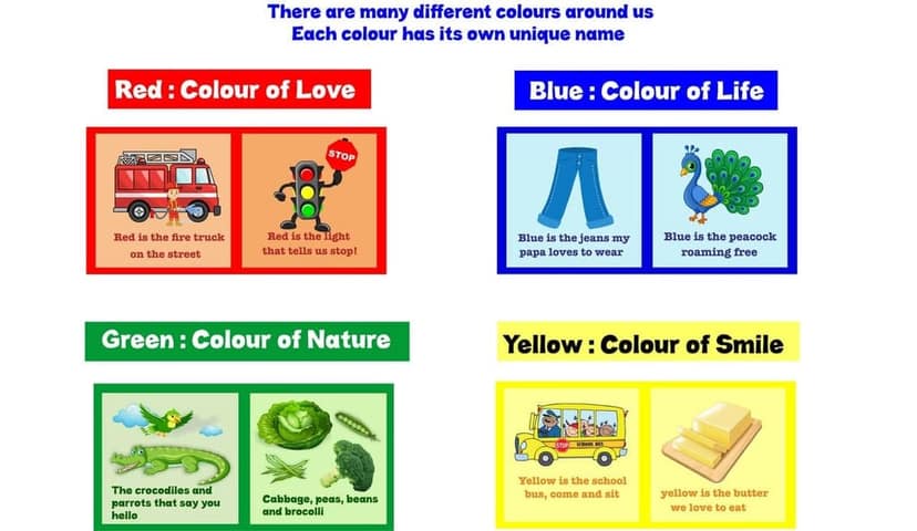 Skyculture� Colours Cloth Book - English Language, Soft Fabric Toy Book for Early Learning Lightweight and Foldable (Pack of 7) for Kids view 4