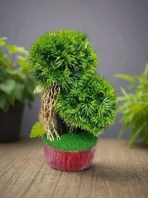 Artificial Bonsai Tree 1 Ft Home Decor 1 Piece Handicraft Artificial Flowers And Tree