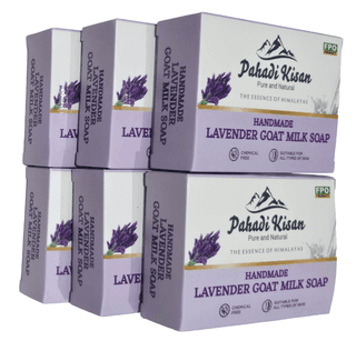 Lavender Goat Milk Soap (Pack of 6)