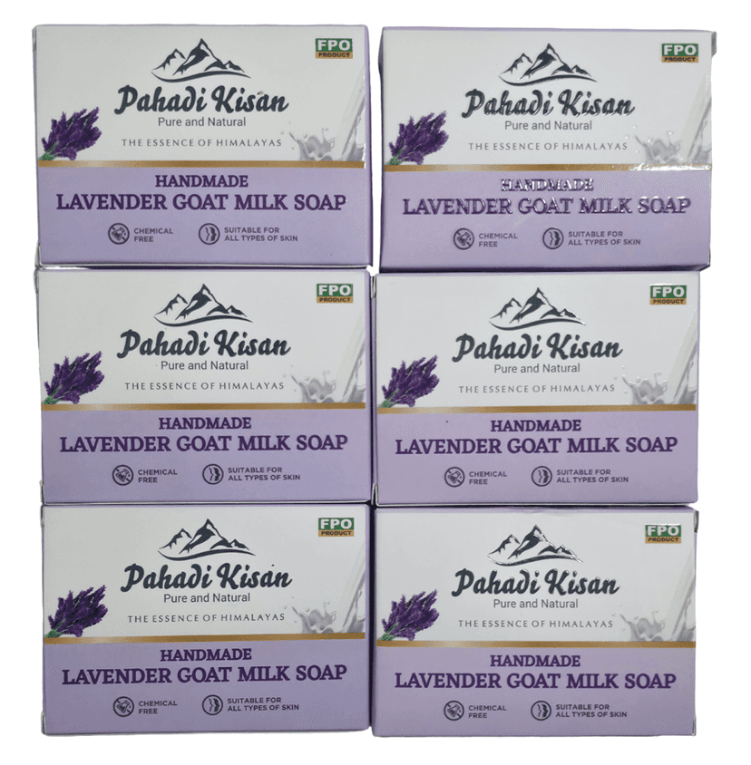 Lavender Goat Milk Soap (Pack of 6) view 2
