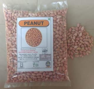 Groundnut