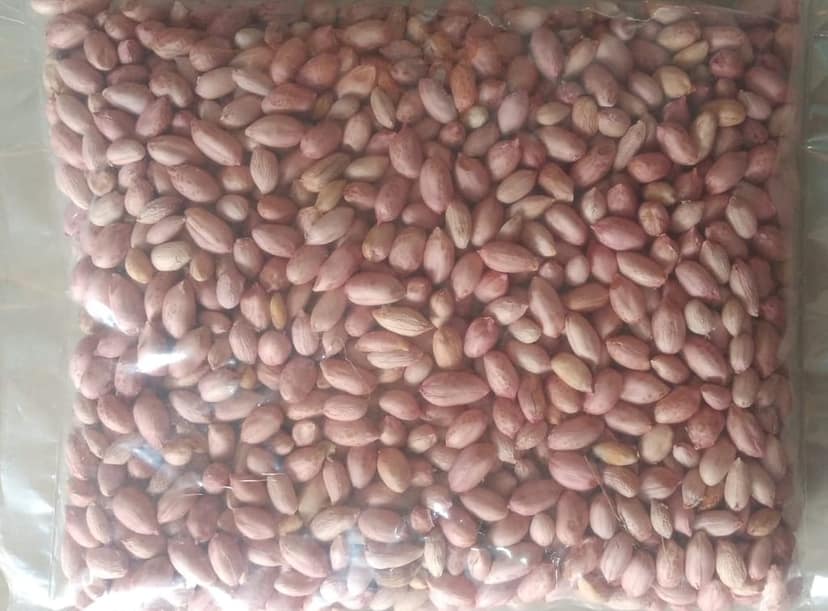 Groundnut view 2