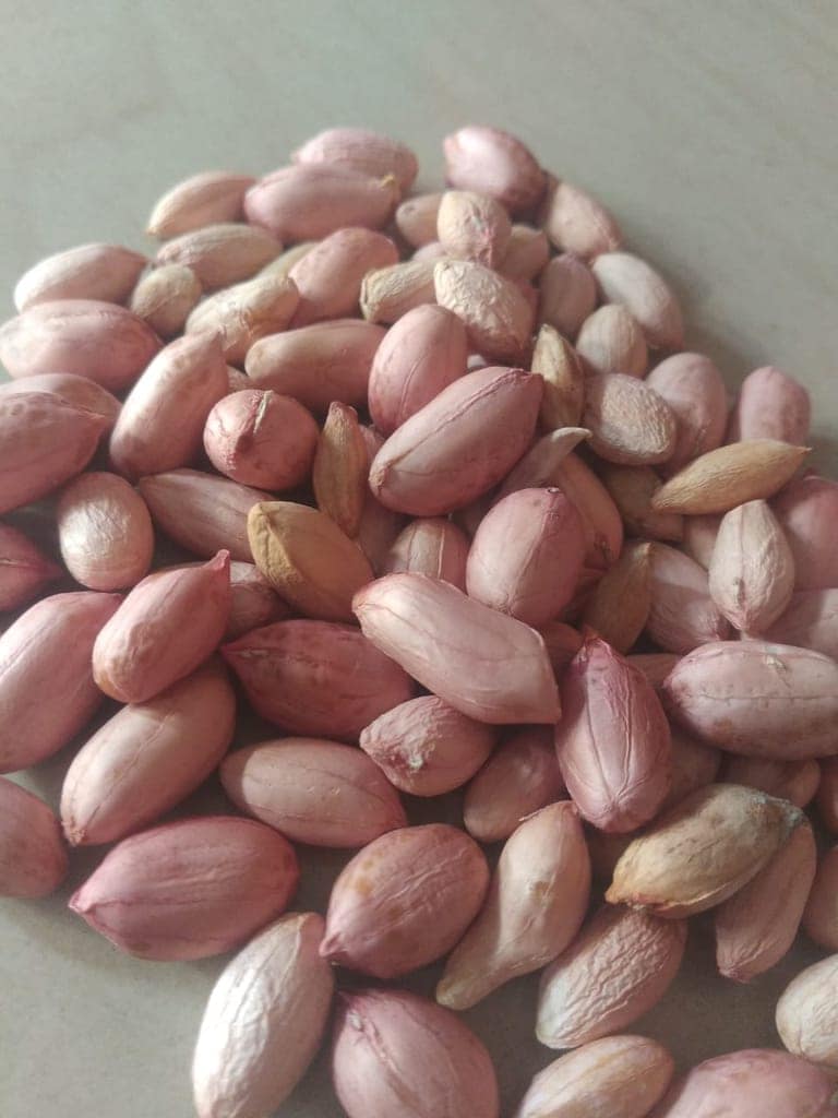 Groundnut view 3