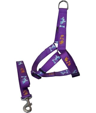 Petshop7 Rubber Printed Nylon Dog Harness & Leash Rope Medium (Chest Size - 24-30inch) - Purple