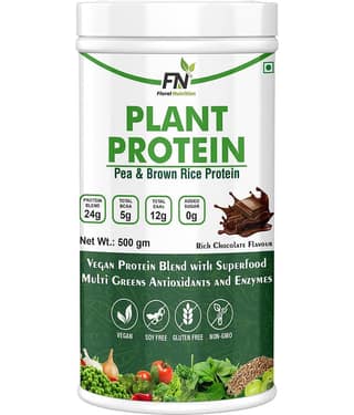 Floral Nutrition - 100% Plant Protein Powder Plant Protein Powder ( 500 gm Rich Chocolate )