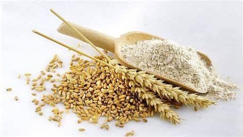 Wheat Flour 1303 view 4