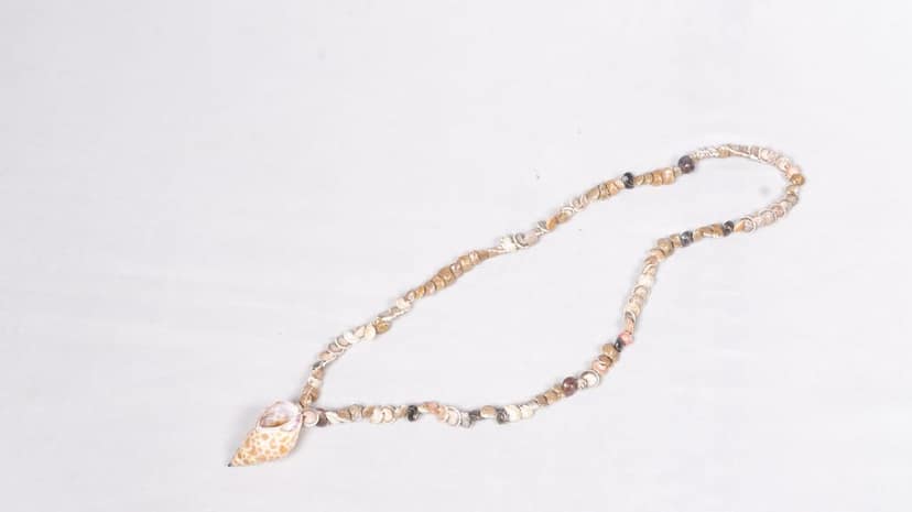 Handmade Seashell Necklace view 2