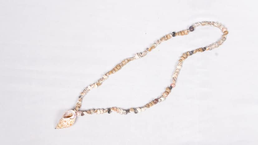 Handmade Seashell Necklace view 3