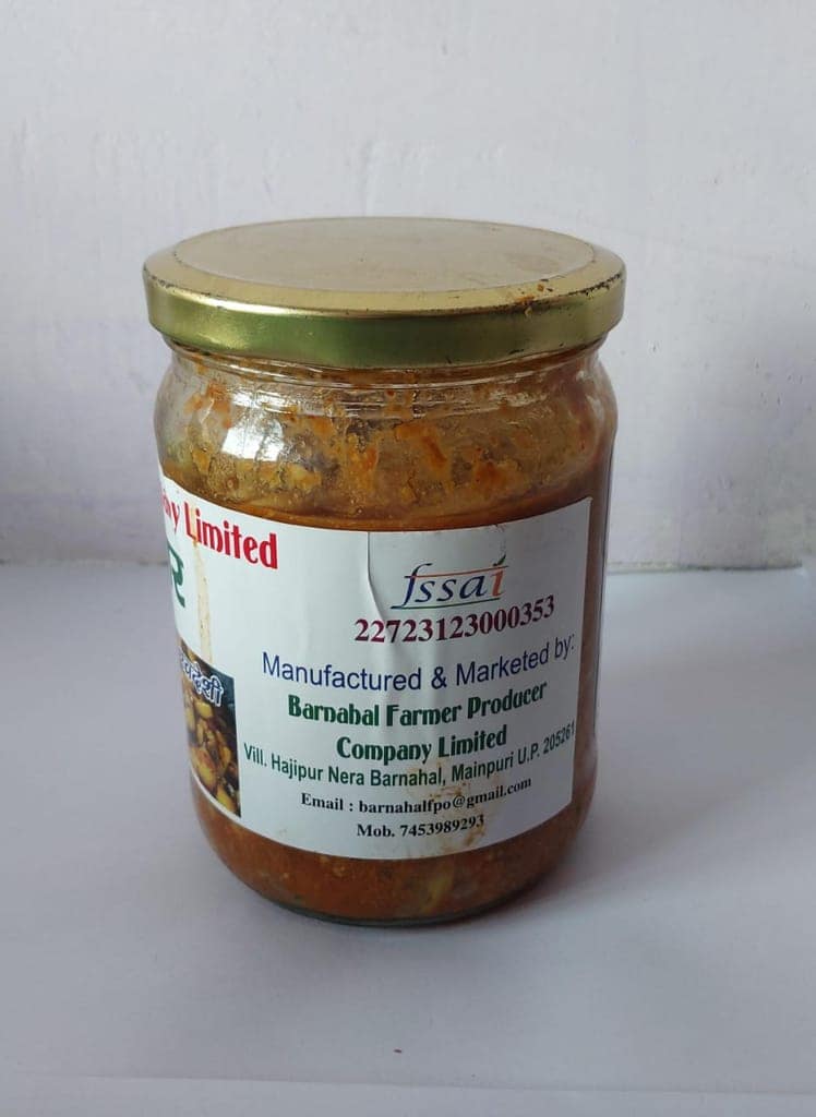 GARLIC PICKLE (500 GM) view 2
