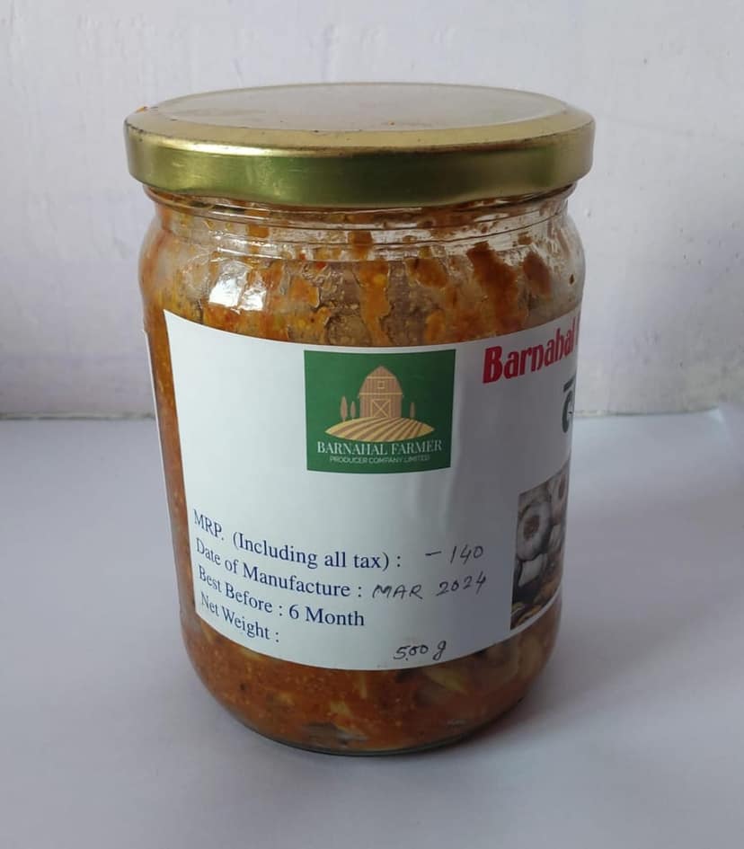 GARLIC PICKLE (500 GM) view 3