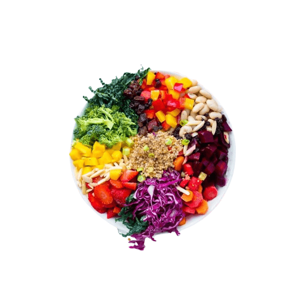 Rainbow Garden Fusion Salad