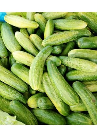 Cucumber - 1 kg