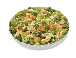 Chicken Cheese Salad